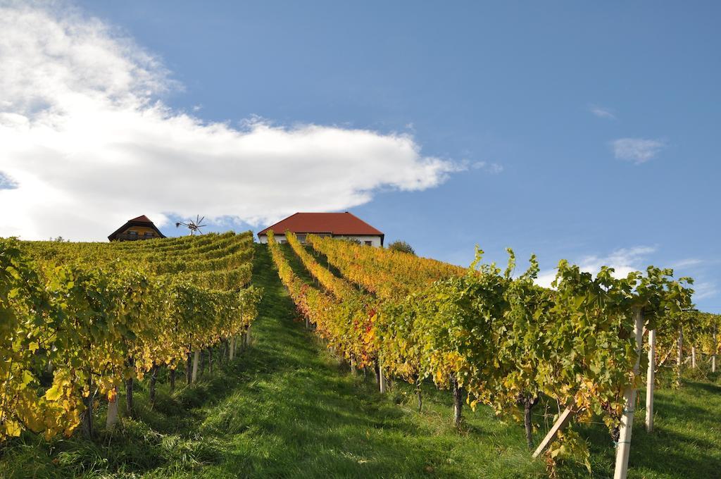 Weingut Koegl Bed & Breakfast Ratsch an der Weinstrasse Ngoại thất bức ảnh
